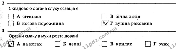Стор. 46 — 2-3 — ГДЗ Робочий зошит Біологія 7 клас Задорожний — ГДЗ Робочий зошит Біологія 7 клас Задорожний
