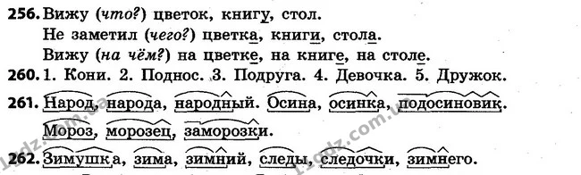 256-262 — ГДЗ Русский язык 4 класс Самонова, Стативка 2015