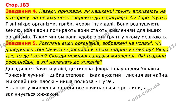 Стор. 183 — 4-5 — ГДЗ Пізнаємо природу 6 клас Коршевнюк — ГДЗ Пізнаємо природу 6 клас Коршевнюк