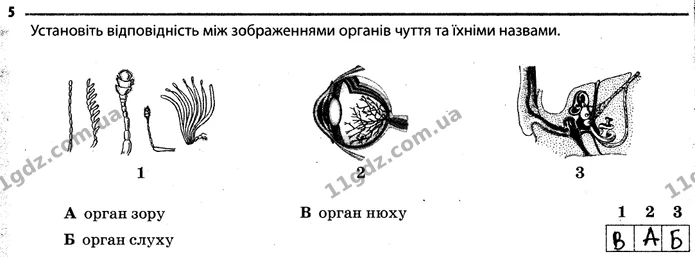 Стор. 46 — 5 — ГДЗ Робочий зошит Біологія 7 клас Задорожний — ГДЗ Робочий зошит Біологія 7 клас Задорожний