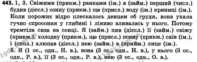 443 — ГДЗ Українська мова 4 клас Варзацька
