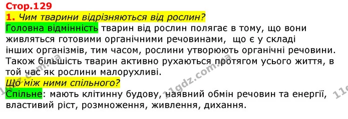 1. Чим тварини відрізняються від рослин? — ГДЗ Природознавство 5 клас Коршевнюк