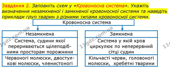 Стор. 64 — 2 (2) — ГДЗ Робочий зошит з Біології 7 клас Яременко — ГДЗ Робочий зошит з Біології 7 клас Яременко