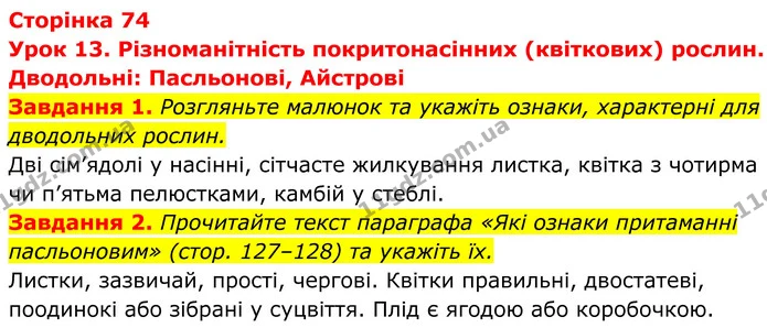 1. Розгляньте малюнок та укажіть ознаки, характерні для дводольних рослин. — ГДЗ Робочий зошит Біологія 7 клас Мирна 2024