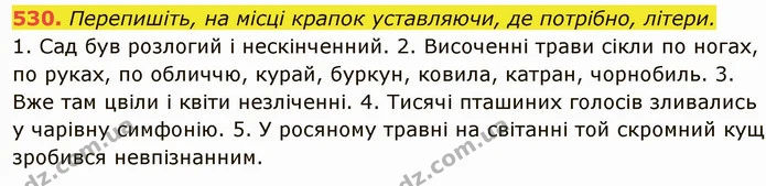 530. Перепишіть, на місці крапок уставляючи, де потрібно, літери. — ГДЗ Українська мова 6 клас Глазова