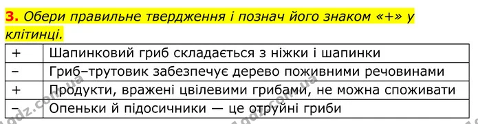 3. Обери правильне твердження і познач його знаком «+» у клітинці. — ГДЗ робочий зошит Пізнаємо природу 5 клас Коршевнюк
