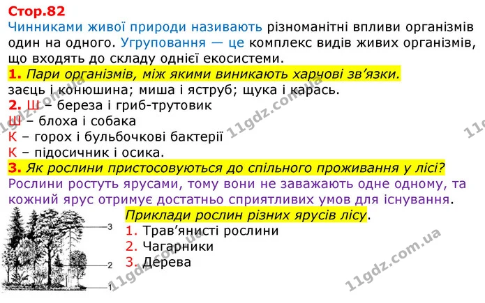 1. Пари організмів, між якими виникають харчові зв’язки. — ГДЗ Робочий зошит Природознавство 5 клас Коршевнюк