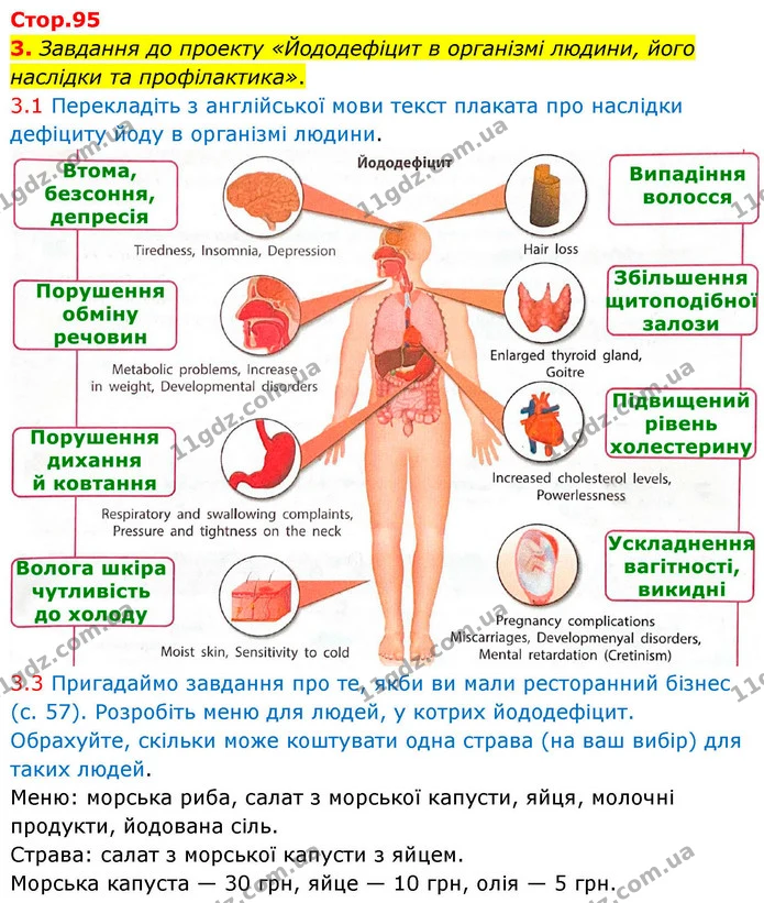 1. Розгляньте малюнок. Позначте й підпишіть такі залози ендокринної системи людини: підшлункова залоза; надниркові залози; щитоподібна — ГДЗ Робочий зошит Біологія 8 клас Тагліна (2025)