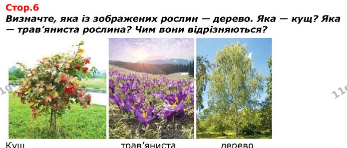 Які добрі справи виконують діти? Які добрі вчинки робите ви? — ГДЗ Я досліджую світ 1 клас Гільберг