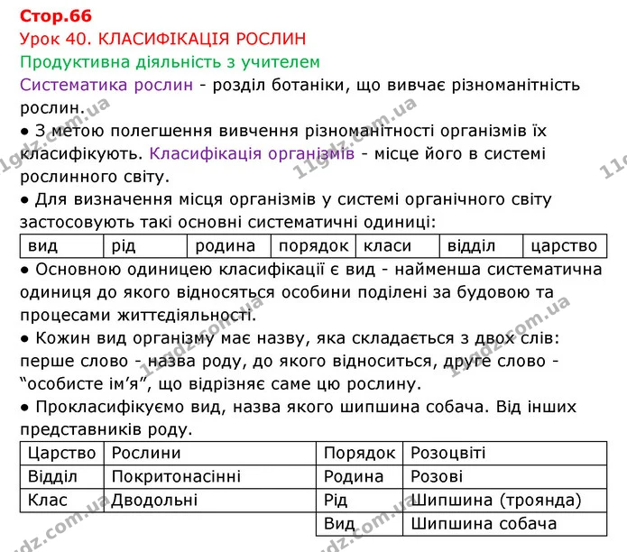 Стор. 66 — 1 — ГДЗ Робочий зошит Біологія 6 клас Соболь — ГДЗ Робочий зошит Біологія 6 клас Соболь