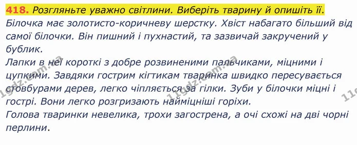 ГДЗ Українська мова 5 клас Голуб — ГДЗ Українська мова 5 клас Голуб
