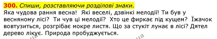 300. Спиши, розставляючи розділові знаки. — ГДЗ Українська мова та читання 3 клас Захарійчук 2020