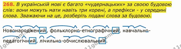 268. В українській мові є багато «чудернацьких» за своєю будовою слів: вони можуть мати навіть три корені, а префікси - у середині — ГДЗ Українська мова 6 клас Заболотний 2019