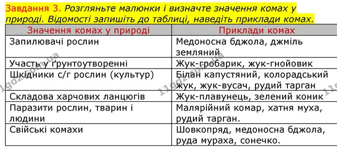 Стор. 29 — 3 — ГДЗ Робочий зошит з Біології 7 клас Яременко — ГДЗ Робочий зошит з Біології 7 клас Яременко