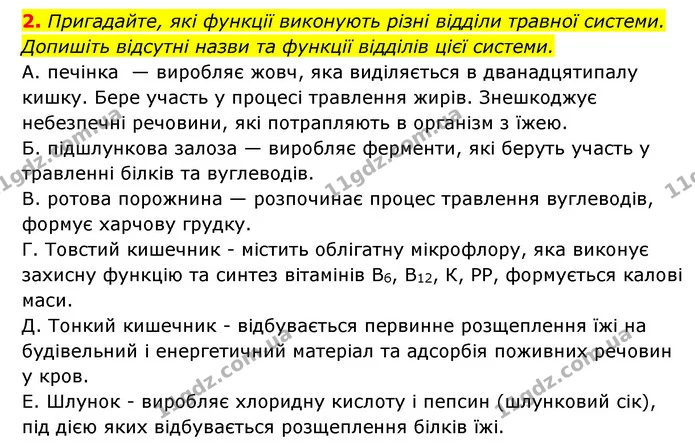 2. Пригадайте, які функції виконують різні відділи травної системи. Допишіть відсутні назви та функції відділів цієї системи. — ГДЗ Робочий зошит Біологія 8 клас Задорожний
