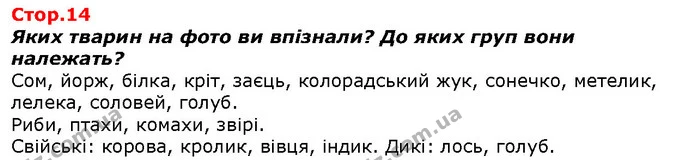 Яких тварин на фото ви впізнали? До яких груп вони належать? — ГДЗ Я досліджую світ 1 клас Гільберг
