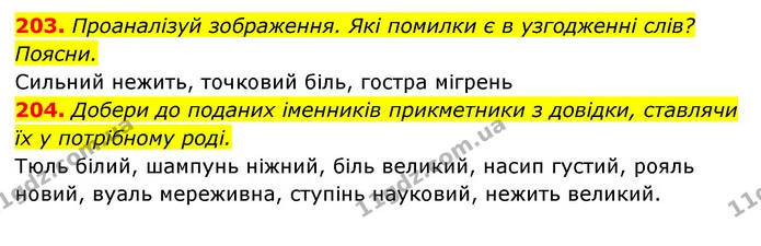 203. Проаналізуй зображення. Які помилки є в узгодженні слів? Поясни. — ГДЗ Українська мова 6 клас Онатій