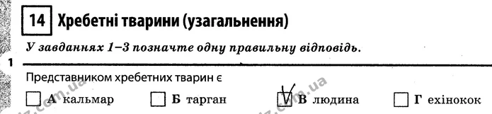 1. Представником хребетних тварин є В (людина) — ГДЗ Робочий зошит Біологія 7 клас Задорожний