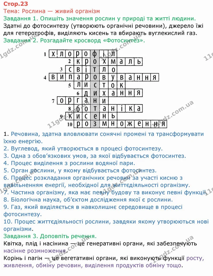 Стор. 23 — 1-3 — ГДЗ Робочий зошит Біологія 6 клас Мечник — ГДЗ Робочий зошит Біологія 6 клас Мечник