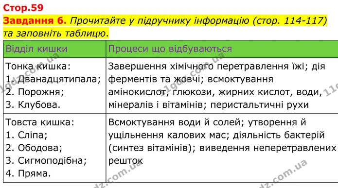 Стор. 59 — 6 — ГДЗ Робочий зошит біологія 8 клас Мирна — ГДЗ Робочий зошит біологія 8 клас Мирна