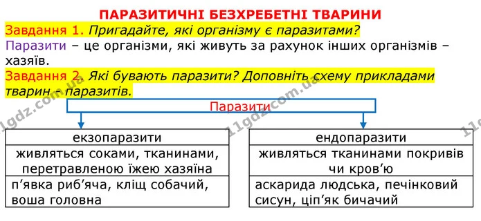 Стор. 37 — 1-2 (2) — ГДЗ Робочий зошит з Біології 7 клас Яременко — ГДЗ Робочий зошит з Біології 7 клас Яременко
