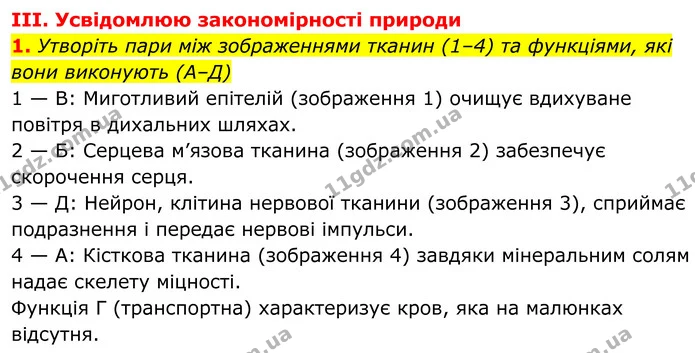 1. Утворіть пари між зображеннями тканин (1–4) та функціями, які вони виконують (А–Д) — ГДЗ Біологія 8 клас Балан