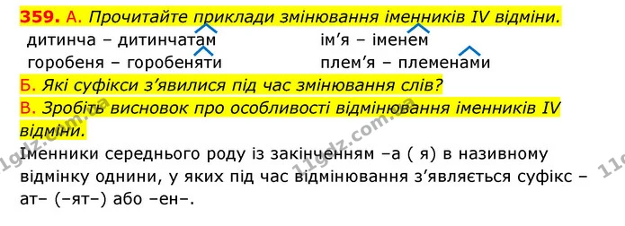 359. А. Прочитайте приклади змінювання іменників IV відміни. — ГДЗ Українська мова 6 клас Заболотний 2023
