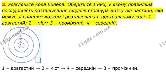 3. Розгляньте кола Ейлера. Оберіть те з них, у якому правильна послідовність розташування відділів стовбура мозку від частини, яка — ГДЗ Робочий зошит Біологія 8 клас Кулініч