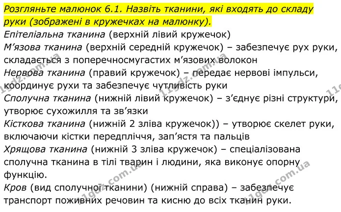 Стор. 24 — 6 — ГДЗ Біологія 8 клас Балан — ГДЗ Біологія 8 клас Балан