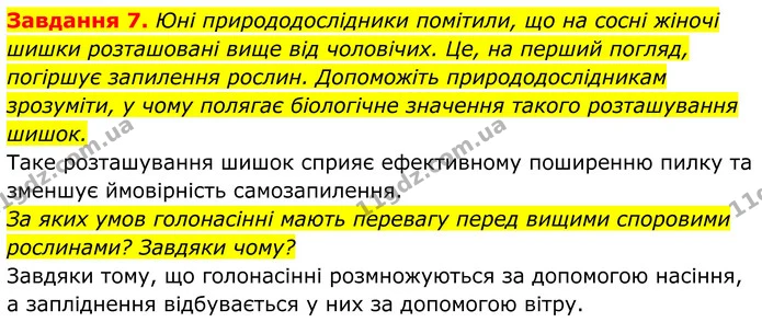 7. Юні природодослідники помітили, що на сосні жіночі шишки розташовані вище від чоловічих. Це, на перший погляд, погіршує запилення — ГДЗ Робочий зошит Біологія 7 клас Мирна 2024