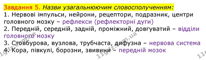 Стор. 76 — 5 — ГДЗ Робочий зошит з Біології 7 клас Яременко — ГДЗ Робочий зошит з Біології 7 клас Яременко
