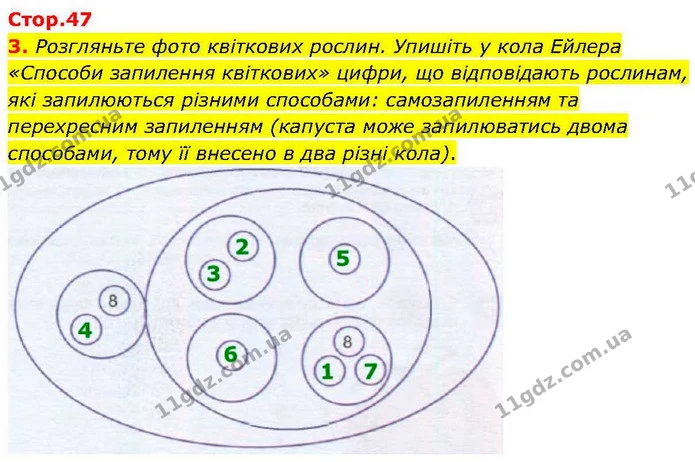 3. Розгляньте фото квіткових рослин. Упишіть у кола Ейлера «Способи запилення квіткових» цифри, що відповідають рослинам, які — ГДЗ робочий зошит Біологія 7 клас Кулініч