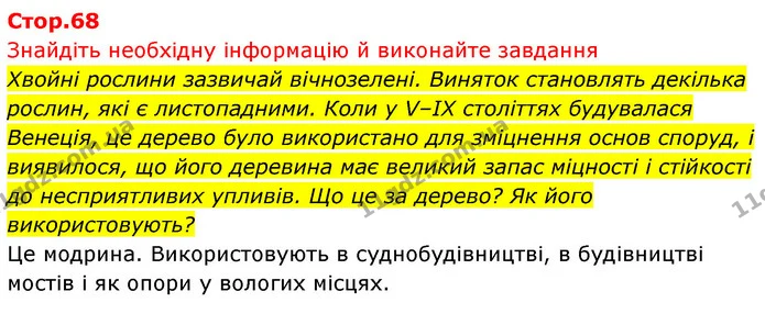 1. Розгляньте пагони сосни чи іншої хвойної рослини, опишіть форму та будову листків. Поясніть, у чому особливості будови хвої. — ГДЗ Біологія 7 клас Тагліна