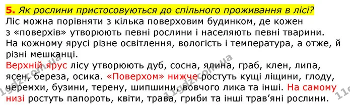 5. Як рослини пристосовуються до спільного проживання в лісі? — ГДЗ Природознавство 5 клас Коршевнюк