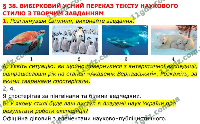 1. Розглянувши світлини, виконайте завдання. — ГДЗ Українська мова 9 клас Авраменко 2026