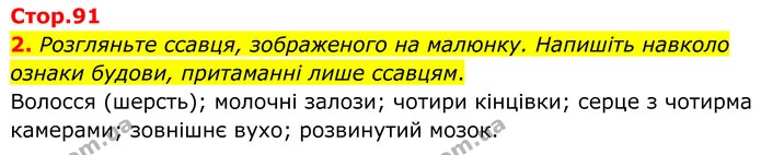 2. Розгляньте ссавця, зображеного на малюнку. Напишіть навколо ознаки будови, притаманні лише ссавцям. — ГДЗ робочий зошит Біологія 7 клас Кулініч