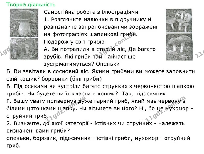 Стор. 92 — 2 — ГДЗ Робочий зошит Біологія 6 клас Соболь — ГДЗ Робочий зошит Біологія 6 клас Соболь