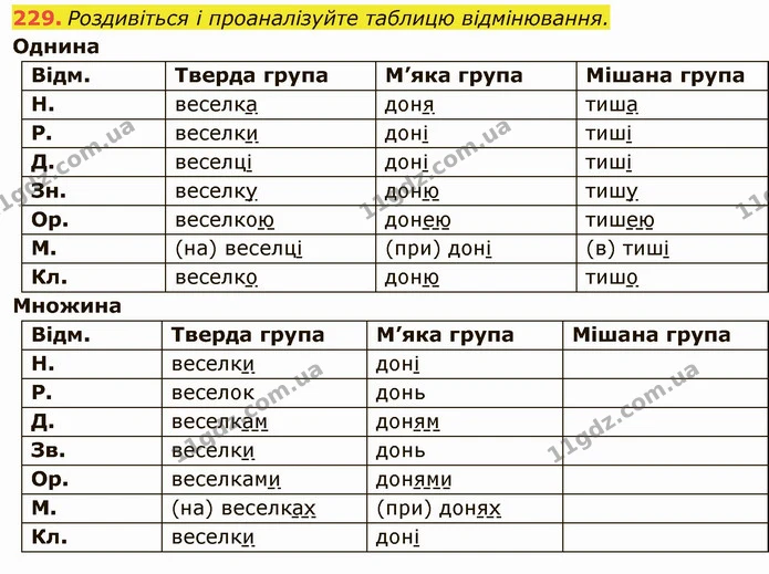 229. Роздивіться і проаналізуйте таблицю відмінювання. — ГДЗ Українська мова 6 клас Глазова