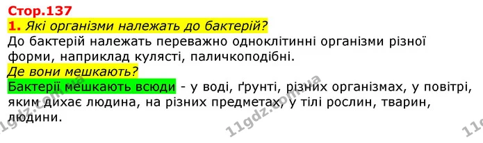 1. Які організми належать до бактерій? — ГДЗ Природознавство 5 клас Коршевнюк