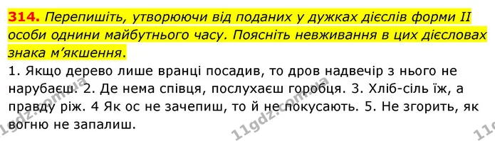 314. Перепишіть, утворюючи від поданих у дужках дієслів форми II особи однини майбутнього часу. Поясніть невживання в цих дієсловах — ГДЗ Українська мова 5 клас Глазова 2022