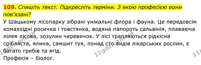 109. Спишіть текст. Підкресліть терміни. З якою професією вони пов'язані? — ГДЗ Відповіді Українська мова 6 клас Єрмоленко