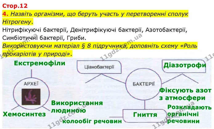 Стор. 12 — Стр.12 (4.1) — ГДЗ робочий зошит Біологія 7 клас Кулініч — ГДЗ робочий зошит Біологія 7 клас Кулініч