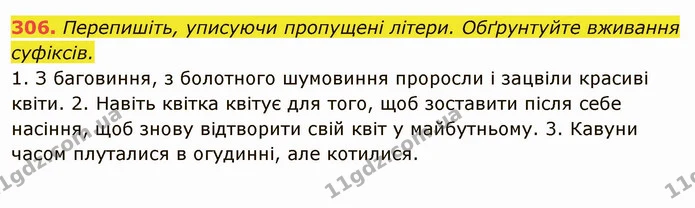 306. Перепишіть, уписуючи пропущені літери. Обґрунтуйте вживання суфіксів. — ГДЗ Українська мова 6 клас Глазова