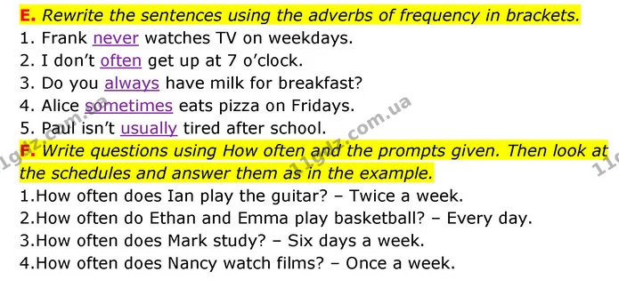 E. Rewrite the sentences using the adverbs of frequency in brackets. — ГДЗ Робочий зошит Англійська мова 6 клас Мітчелл
