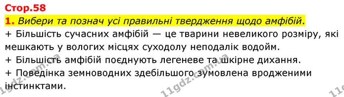 1. Вибери та познач усі правильні твердження щодо амфібій. — ГДЗ робочий зошит Біологія 7 клас Тагліна