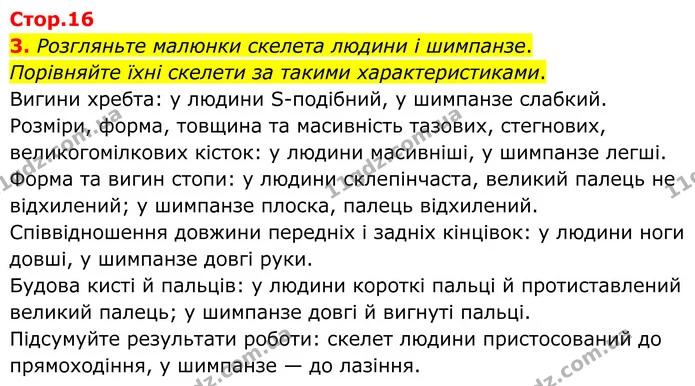 1. Прочитайте твердження. Оберіть правильну відповідь. — частина 3 — ГДЗ Робочий зошит Біологія 8 клас Тагліна (2025)