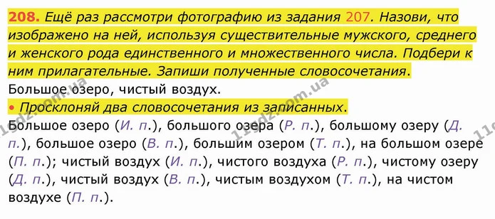 208. Ещё раз рассмотри фотографию из задания 207. Назови, что изображено на ней, используя существительные мужского, среднего и — ГДЗ Русский язык и чтение 4 класс Лапшина 1 ч.