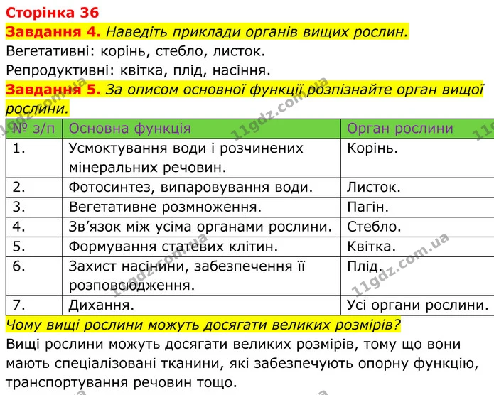 4. Наведіть приклади органів вищих рослин. — ГДЗ Робочий зошит Біологія 7 клас Мирна 2024