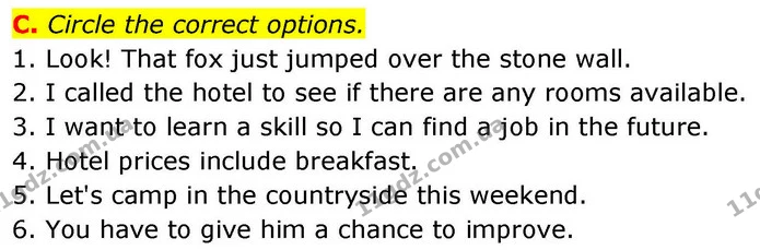 C. Circle the correct options. — ГДЗ робочий зошит Англійська мова 7 клас Мітчелл