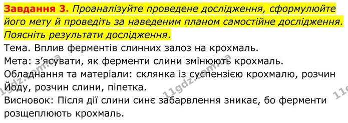 Стор. 32 — 3 — ГДЗ робочий зошит Біологія 8 клас Андерсон — ГДЗ робочий зошит Біологія 8 клас Андерсон